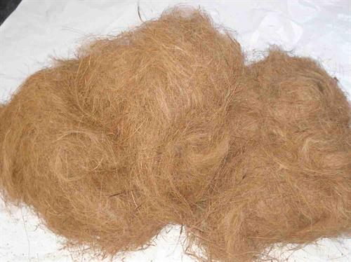 Coir Fibre